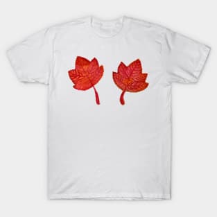 Maple leaves T-Shirt